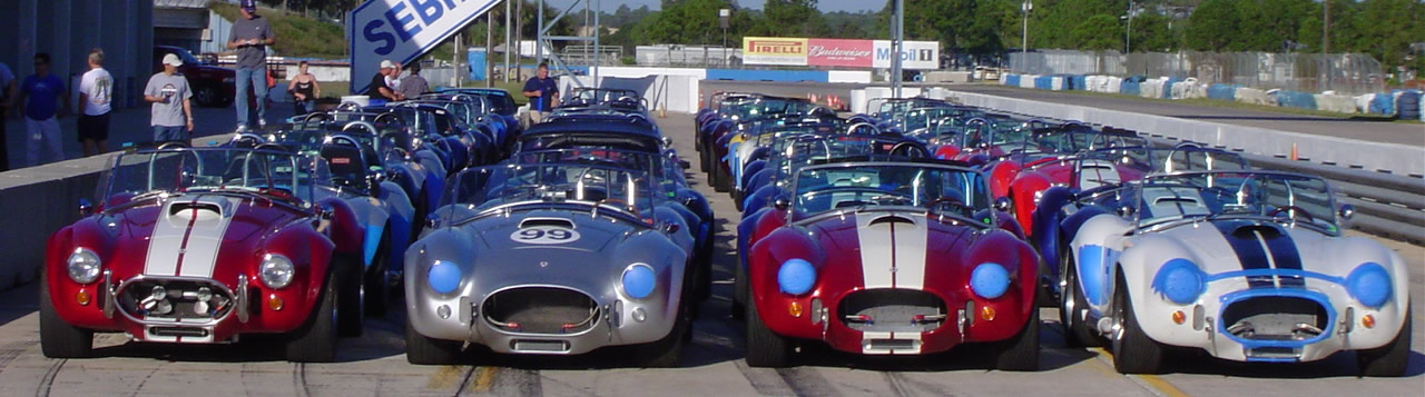 Cobras at Sebring 2009.jpg