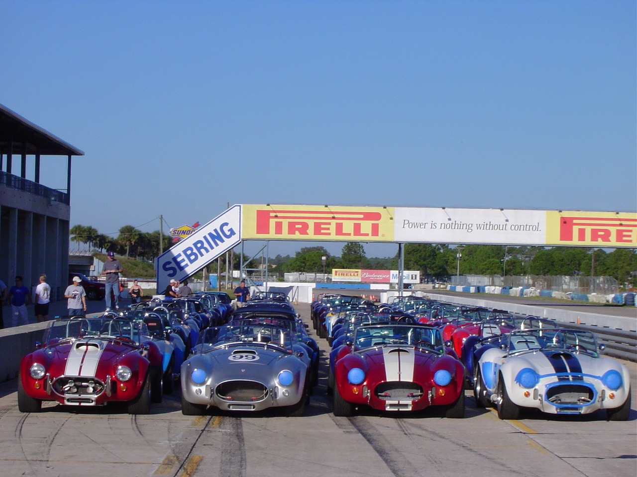 Cobras at Sebring 2006.jpg